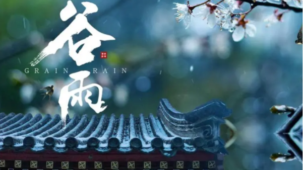穀雨時節到願（yuàn）收獲滿滿